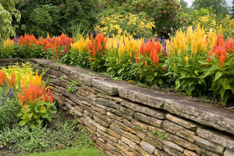 Types of Retaining Wall You Can Choose From