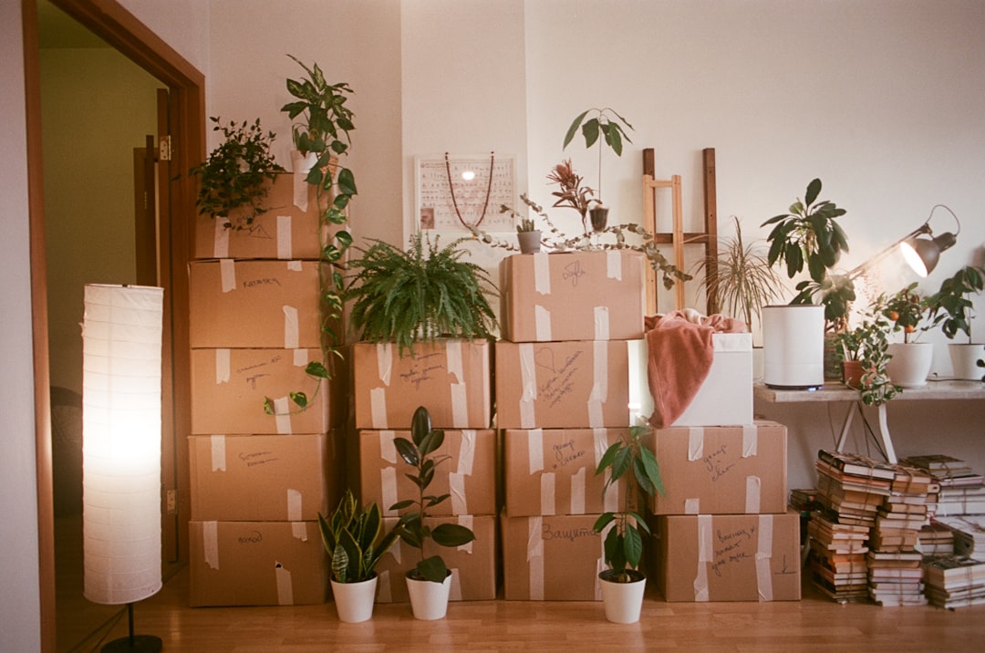 Towers of moving boxes surrounded by indoor plants in a room