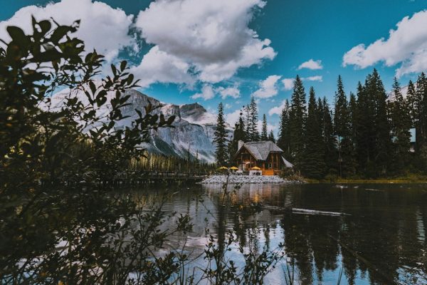 Finding Your Sanctuary: How to Choose the Perfect Location for Your Log Cabin