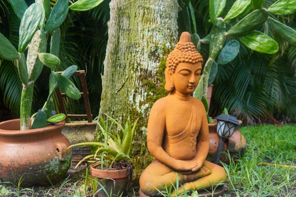 Swan Realty Bodhi: The Best New Real Estate Opportunity